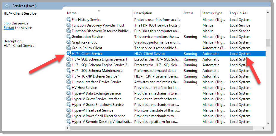 The MS Windows Services The MS Windows Services